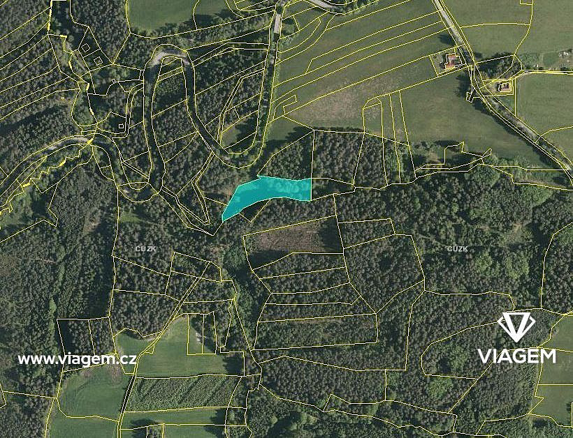 Prodej pole 4 663 m² – fotografie 3