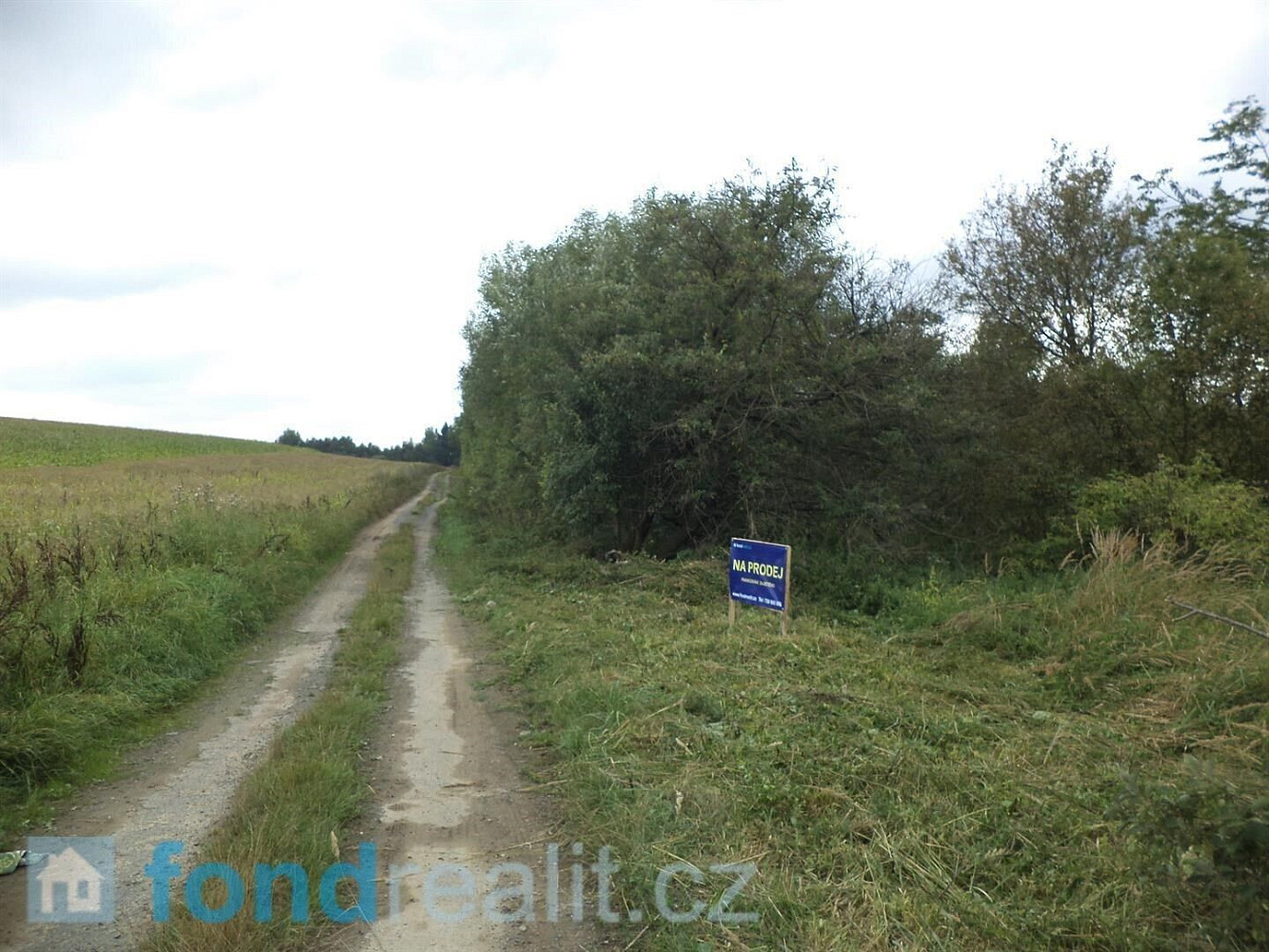 Prodej pozemku 1 919 m²