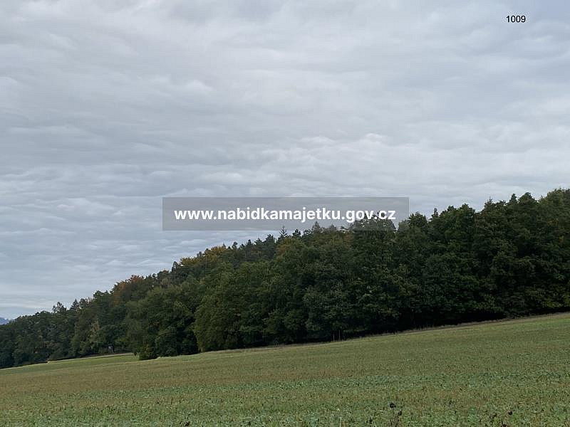 Prodej lesa 507 m²