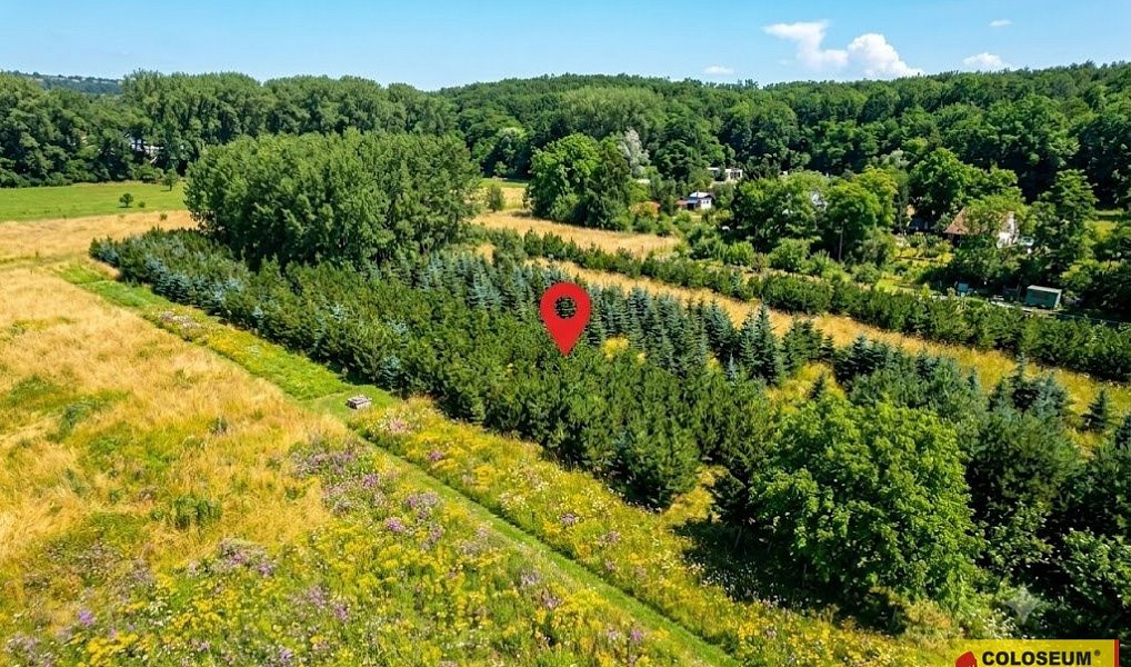 Prodej pole 2 970 m², Znojmo – náhled fotky 2