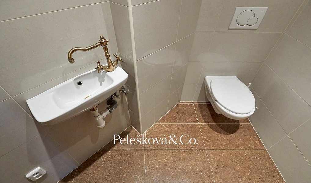 Pronájem bytu 4+kk 177 m², Praha – náhled fotky 6