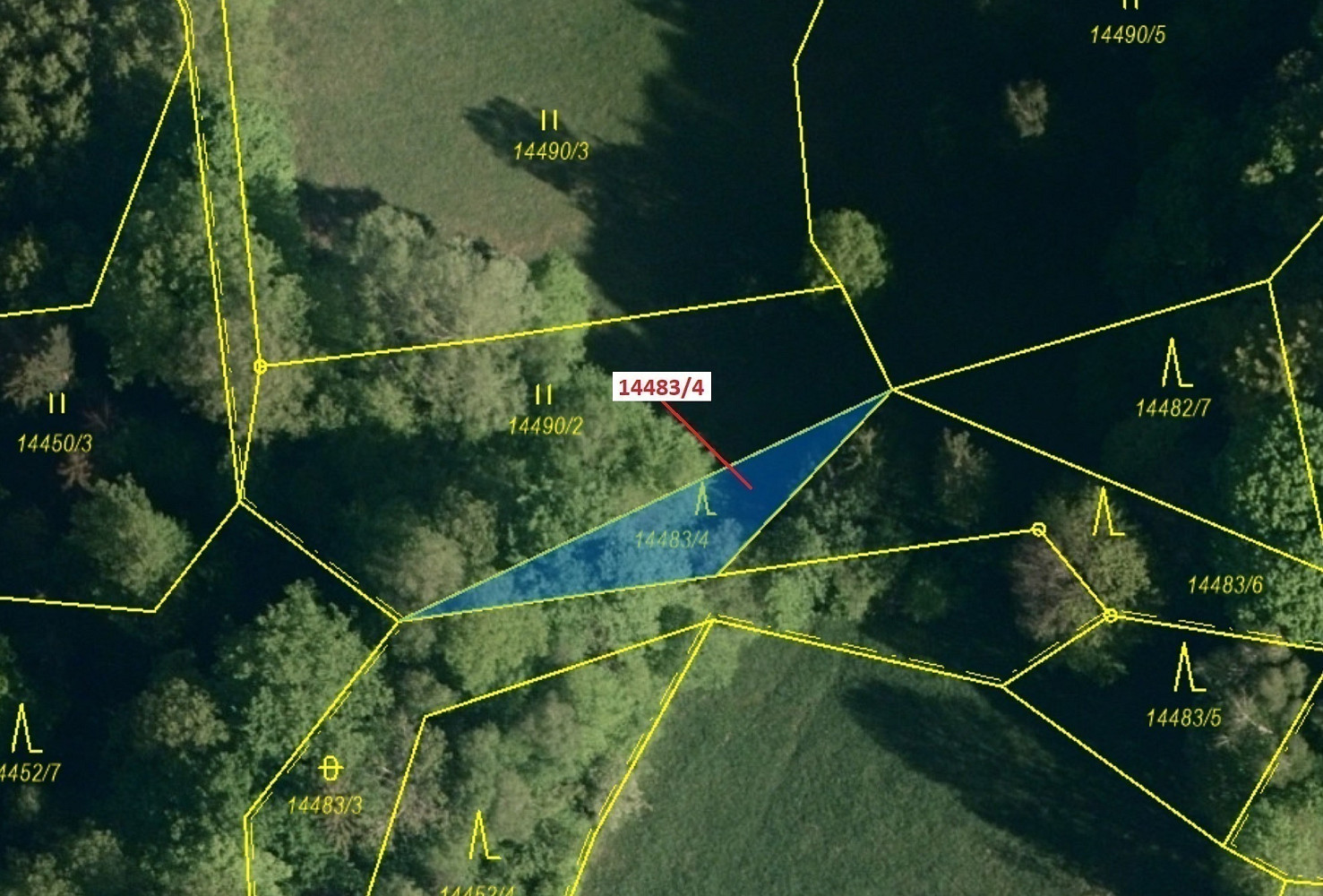 Dražba lesa 173 m² — photo 2
