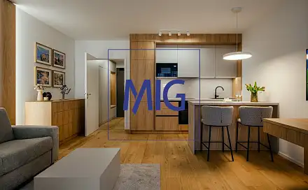 Pronájem bytu 1+kk 45 m²