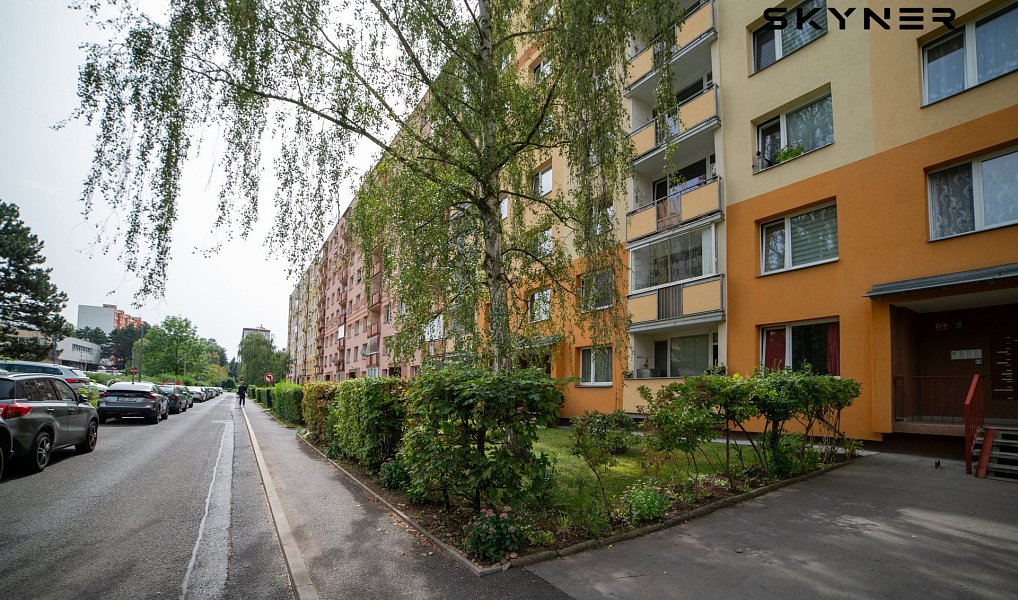 Pronájem bytu 1+kk 19 m², Ústí nad Labem – náhled fotky 6