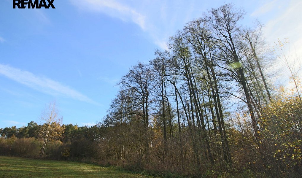 Prodej lesa 19 636 m², Břežany – náhled fotky 2