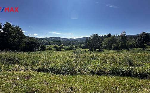 Prodej lesa 17 502 m², Nezdice na Šumavě, okres Klatovy