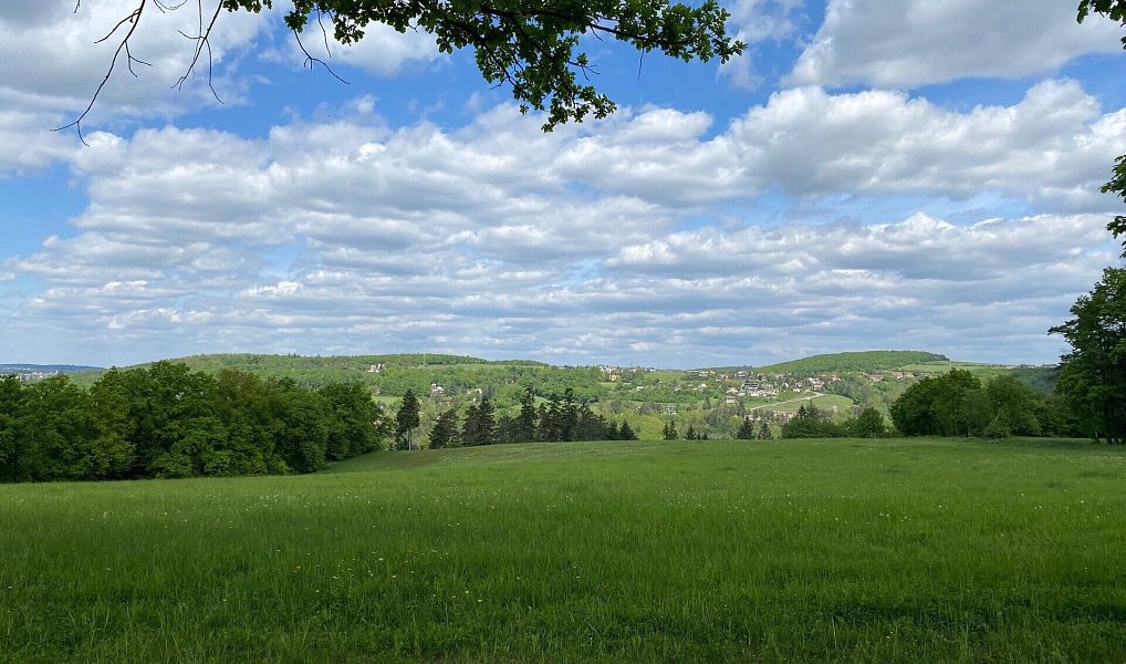 Prodej chaty/chalupy 50 m² s pozemkem 905 m², Hradištko – náhled fotky 10