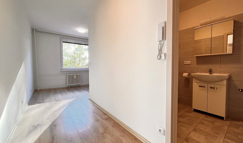 Pronájem bytu 1+1 40 m², Rychnov nad Kněžnou – náhled fotky 4