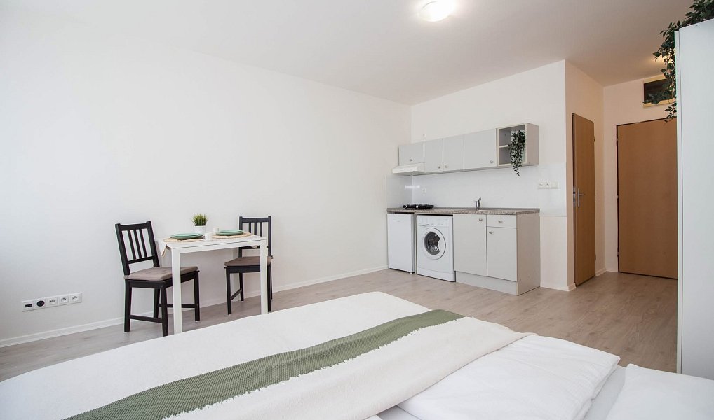 Pronájem bytu 1+kk 25 m², Brno – náhled fotky 6