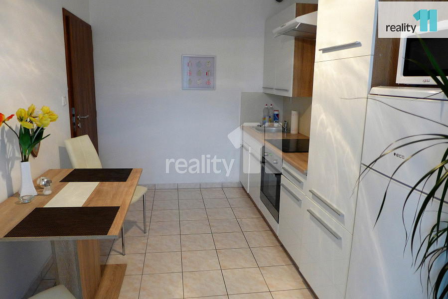 Pronájem bytu 1+1 50 m² — photo 3