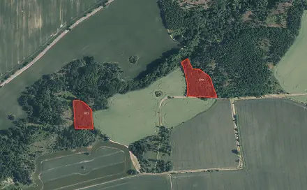 Prodej lesa 23 194 m², Kryry - Stebno, okres Louny