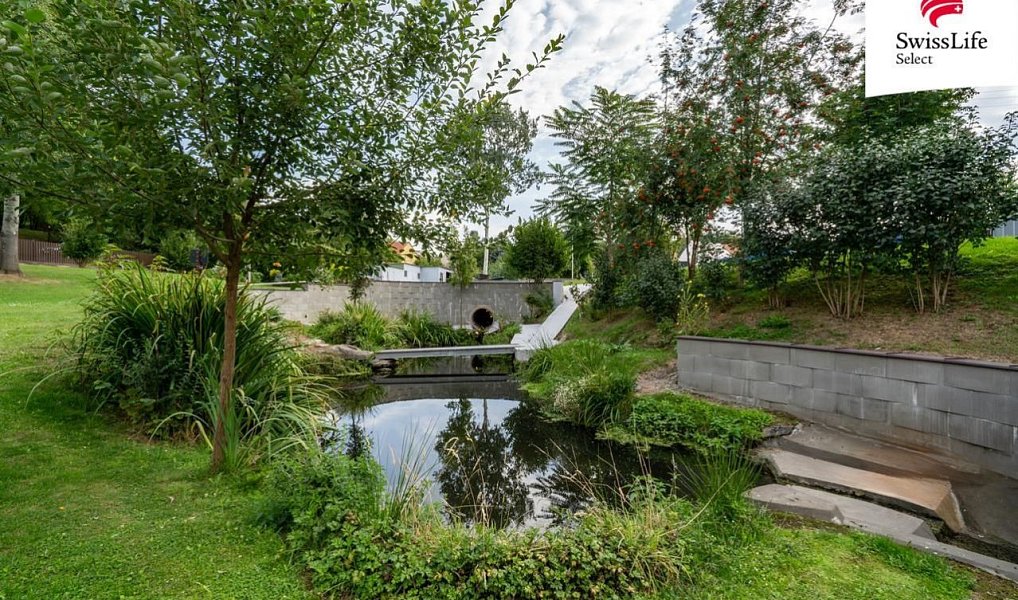 Prodej stavebního pozemku 4 611 m², Krňany – náhled fotky 8