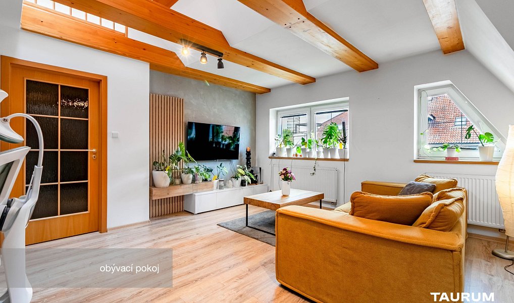 Prodej bytu 2+1 116 m², Plzeň – náhled fotky 8
