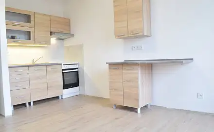 Pronájem bytu 1+1 44 m²