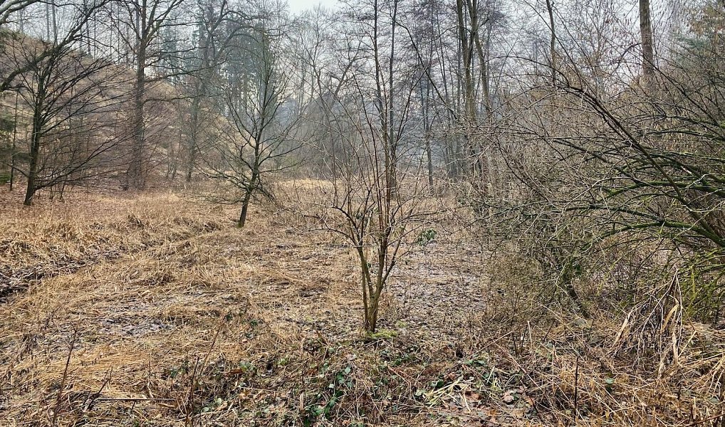 Prodej vodní plochy 8 264 m², Ondřejov – náhled fotky 13