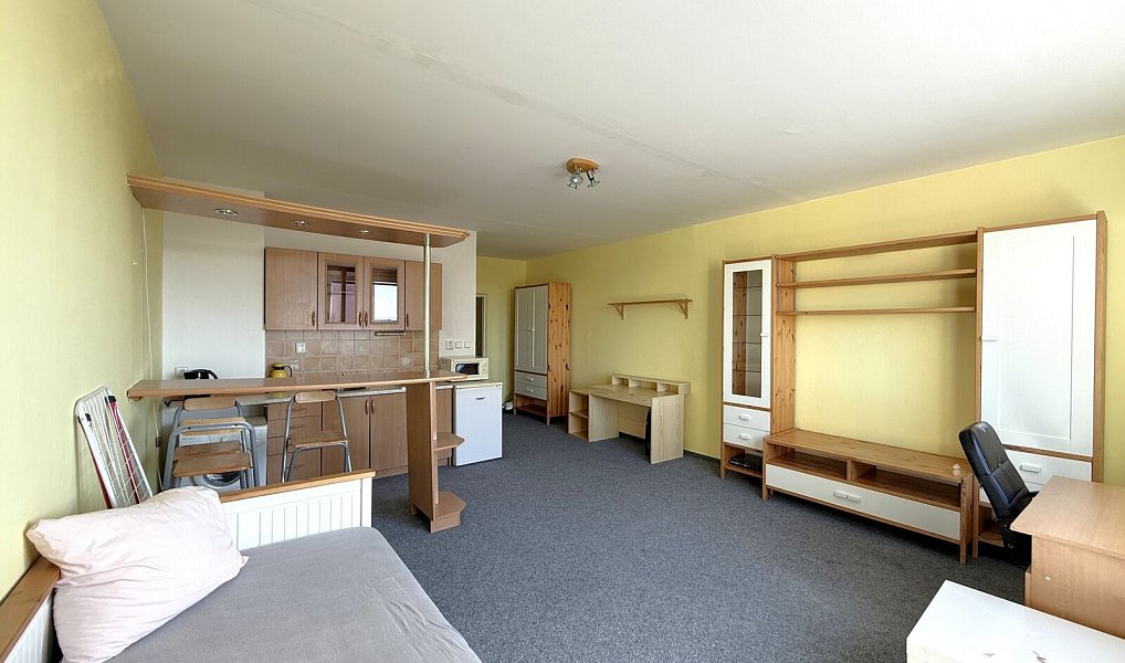 Pronájem bytu 1+kk 35 m², Plzeň – náhled fotky 3