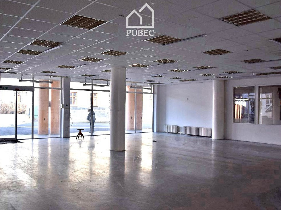 Pronájem obchodních prostor 254 m² – fotografie 3