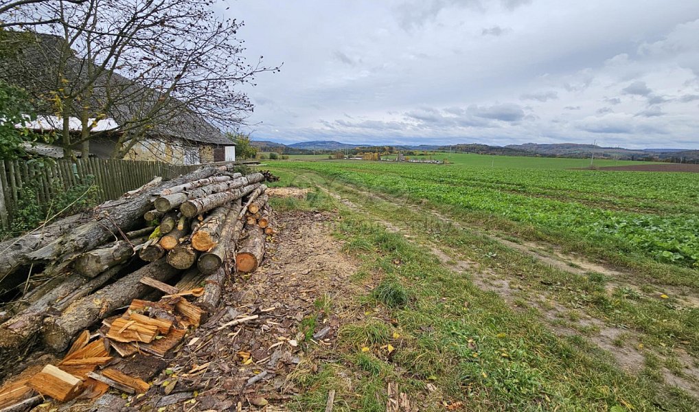 Prodej pole 1 577 m², Gruna – náhled fotky 3