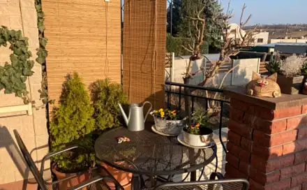 Prodej domu 204 m² s pozemkem 145 m², Vinohrady, Kyjov - Nětčice, okres Hodonín