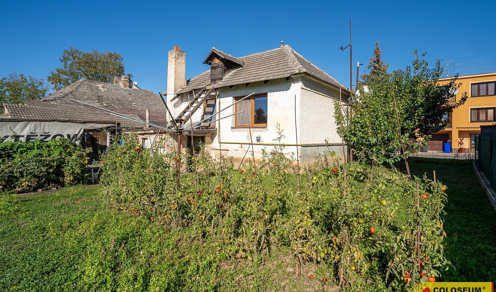 Prodej domu 47 m² s pozemkem 724 m², Hrušovany nad Jevišovkou – náhled fotky 10