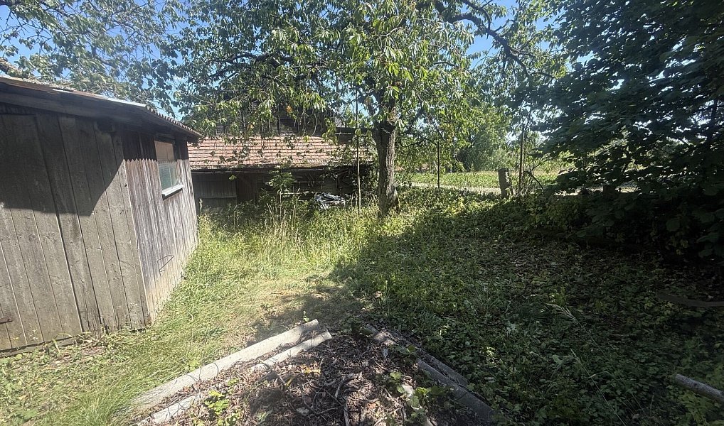Prodej domu 200 m² s pozemkem 721 m², Mladý Smolivec – náhled fotky 6