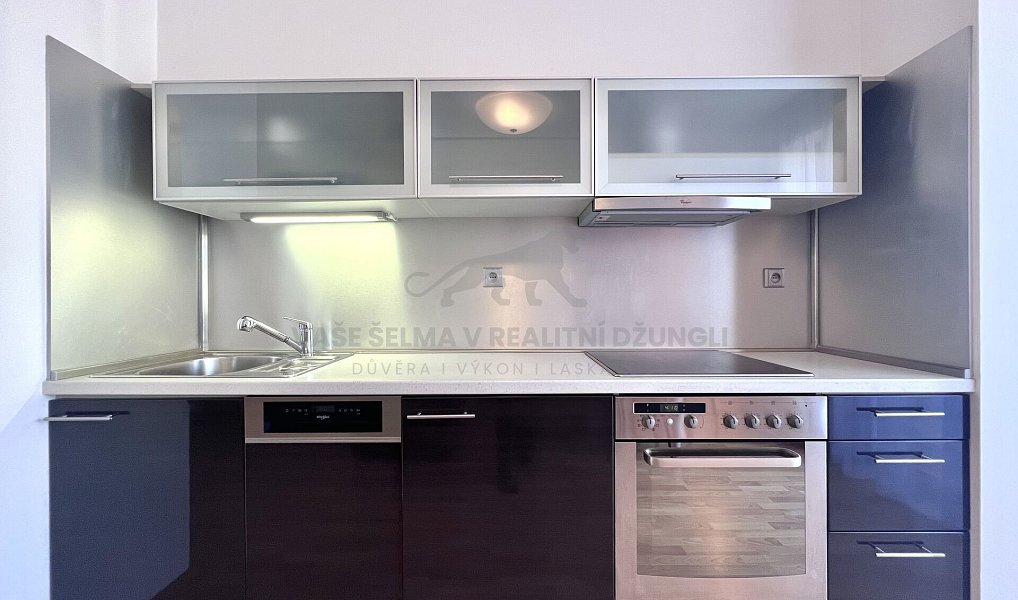 Pronájem bytu 2+kk 45 m², Praha – náhled fotky 11