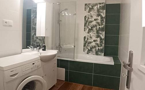 Pronájem bytu 2+1 63 m², nábřeží Jana Palacha, Karlovy Vary