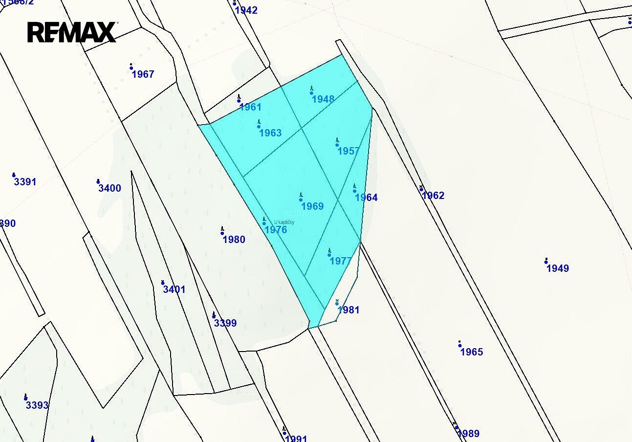 Prodej lesa 26 680 m² – fotografie 5