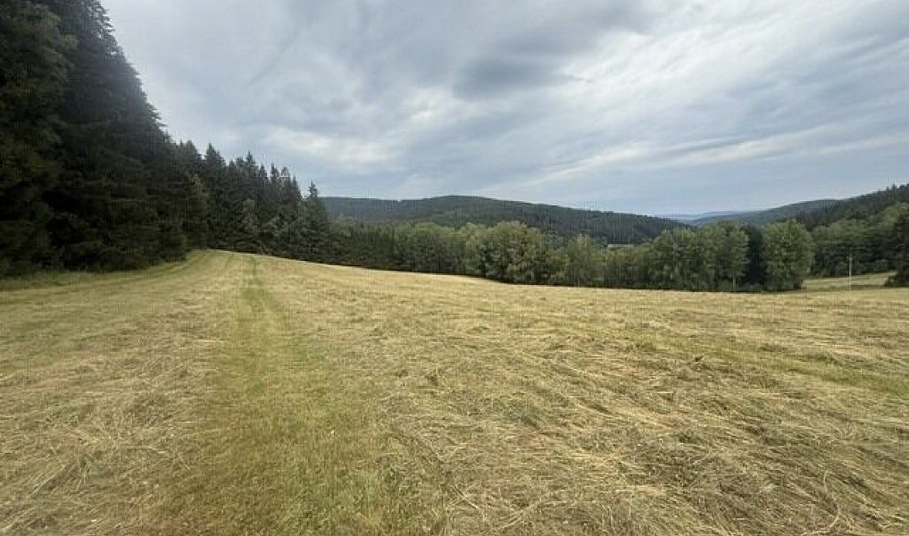 Prodej louky 84 928 m², Hamry – náhled fotky 14
