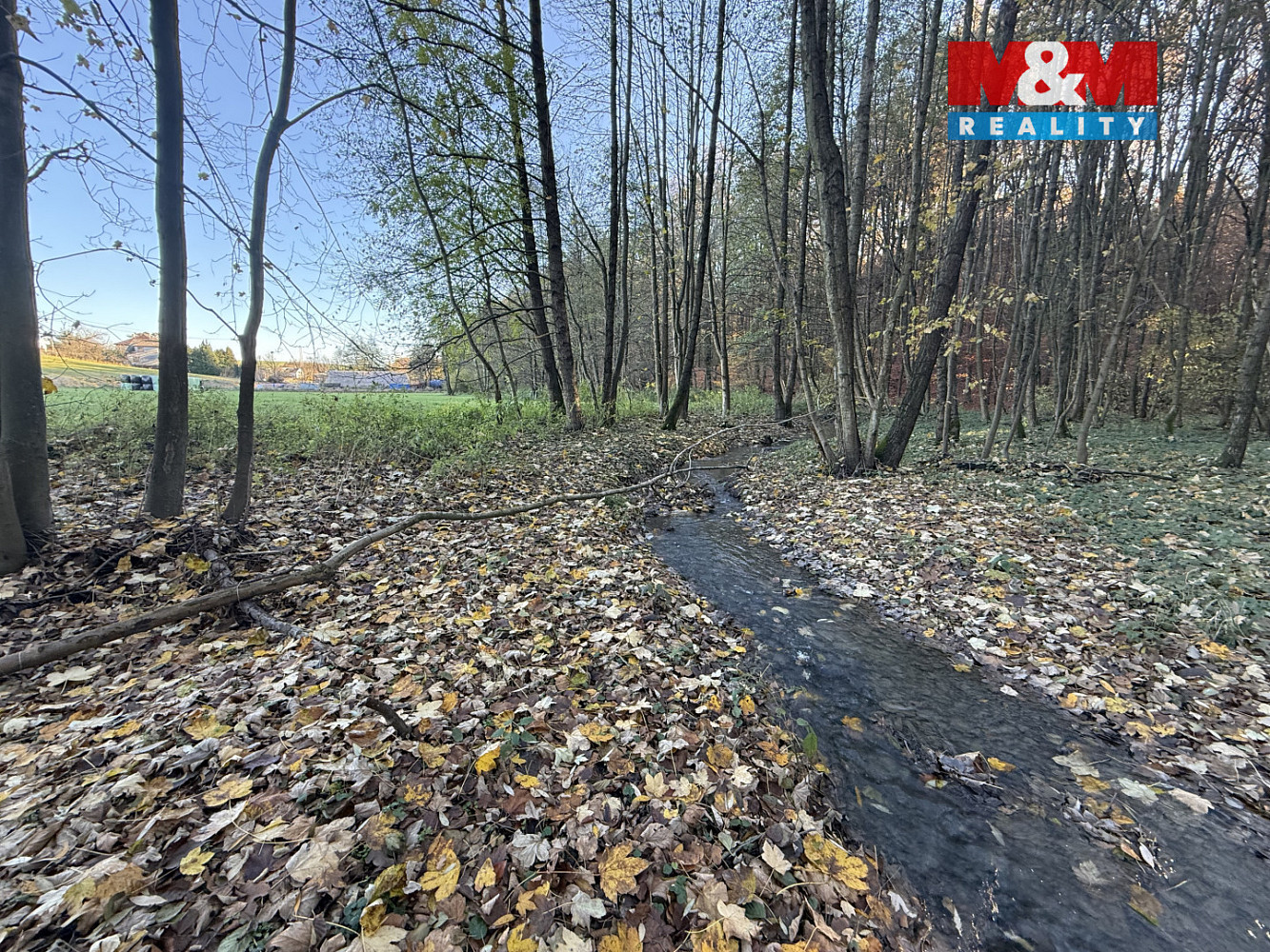 Prodej lesa 1 901 m² — photo 2