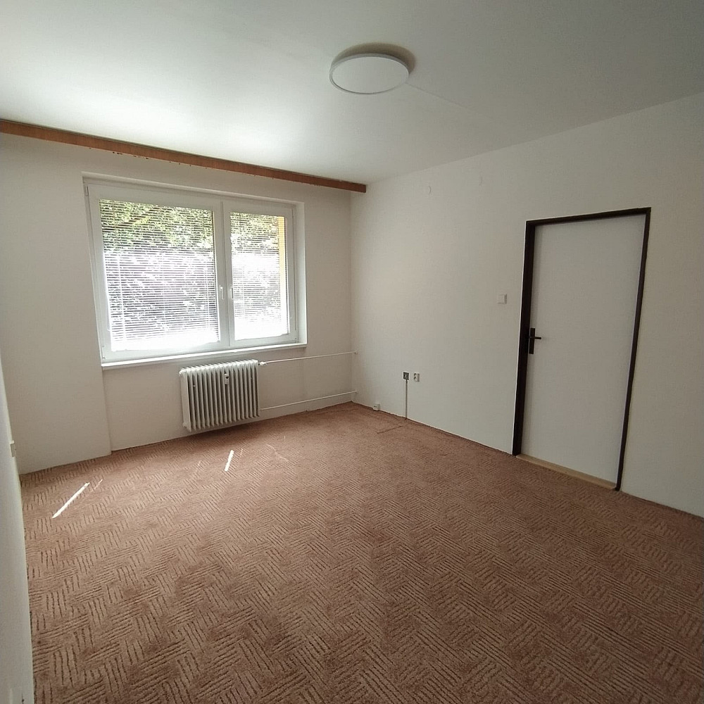 3+1 Apartment in Adamov – další