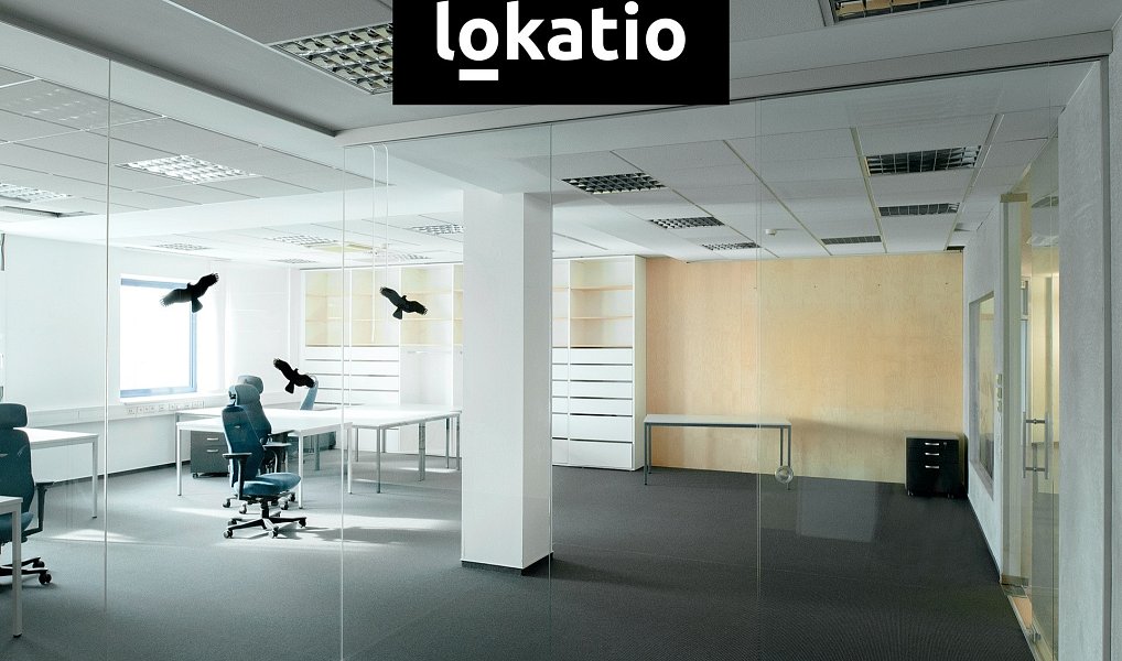 Pronájem skladovacích prostor 8 794 m², Chrášťany – náhled fotky 7