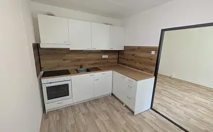 Pronájem bytu 3+1 53 m², Bohuslava Martinů, Most