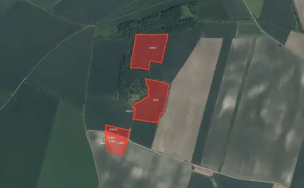 Prodej pole 67 650 m², Libochovice - Poplze, okres Litoměřice