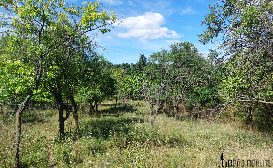 Prodej zahradních pozemků, celkem 1 578 m², Brněnské Ivanovice – pohled 5