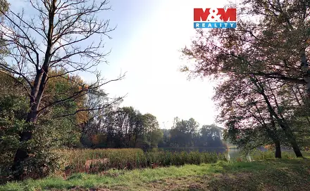 Prodej louky 7 011 m², Petrovice - Obděnice, okres Příbram