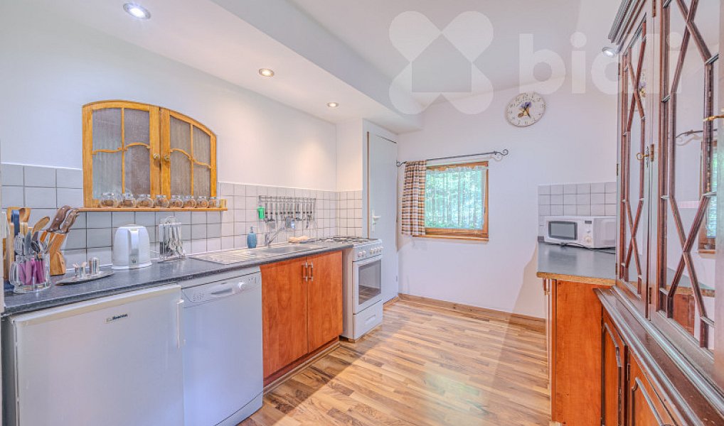Prodej chaty/chalupy 513 m² s pozemkem 1 681 m², Branná – náhled fotky 6