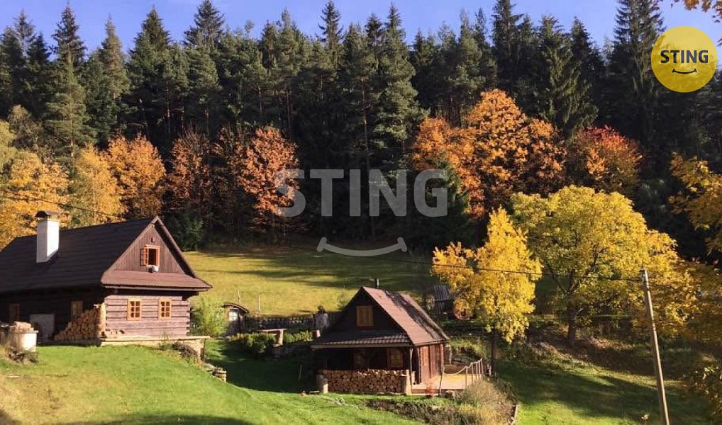 Prodej domu 2 989 m² s pozemkem 17 580 m², Hutisko-Solanec – náhled fotky 2