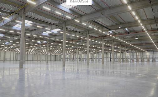 Pronájem skladovacích prostor 29 000 m², Kujavská, Hladké Životice, okres Nový Jičín