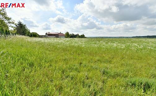 Prodej stavebního pozemku 4 580 m², Nový Bydžov, okres Hradec Králové