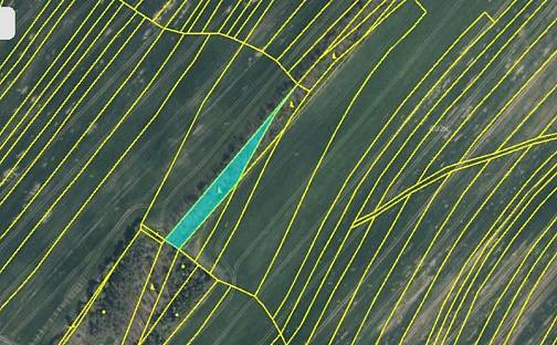 Prodej lesa 1 697 m², Oplot, okres Plzeň-Jih