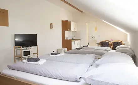 Prodej bytu 1+kk 30 m², Lipno nad Vltavou, okres Český Krumlov