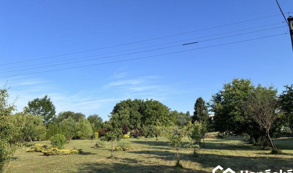 Prodej zahrady 3 994 m², Bělotín – náhled fotky 20