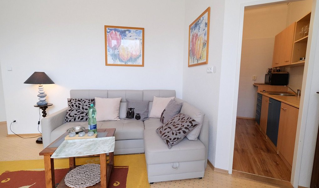 Prodej bytu 2+kk 40 m², Slapy – náhled fotky 7