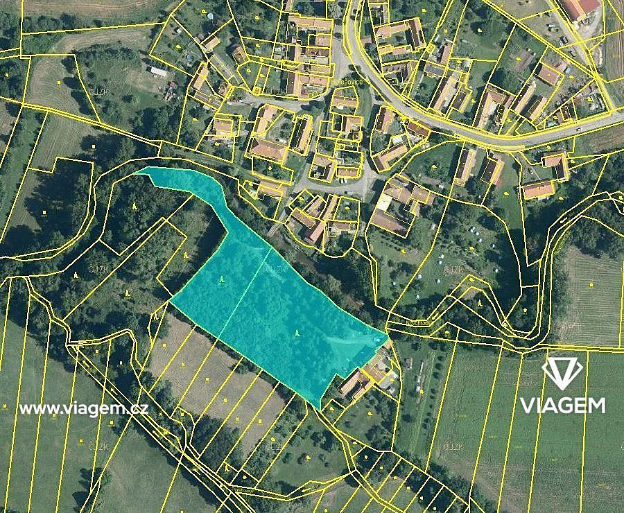 Prodej lesa 1 085 m² – fotografie 2