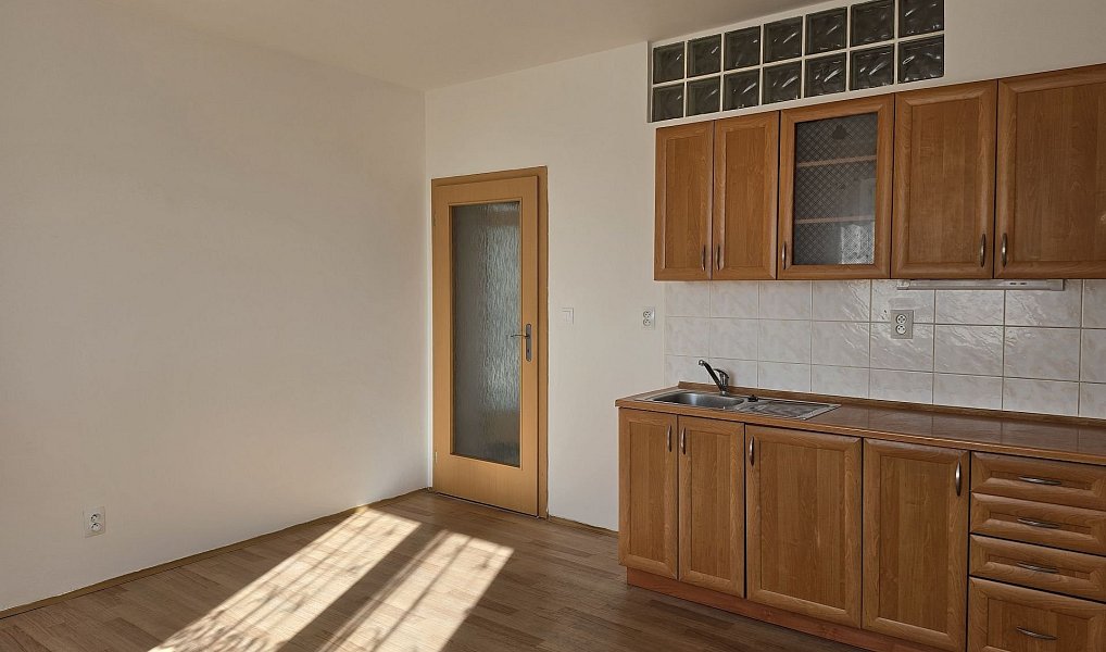 Pronájem bytu 2+kk 42 m², Plzeň – náhled fotky 6