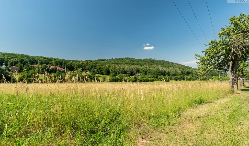 Prodej komerčního pozemku 23 391 m², Braňany – náhled fotky 3