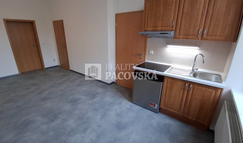 Pronájem bytu 2+kk 65 m², Ústí nad Labem – náhled fotky 2