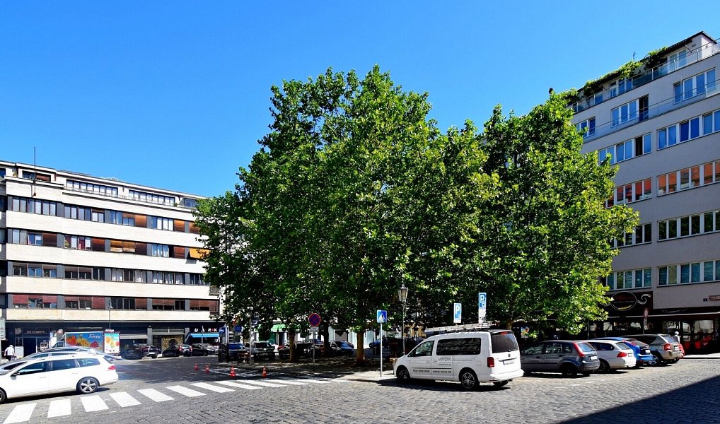 Pronájem bytu 1+1 37 m², Praha – náhled fotky 5