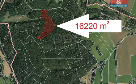Prodej lesa 16 220 m², Petrovice - Mezihoří, okres Příbram